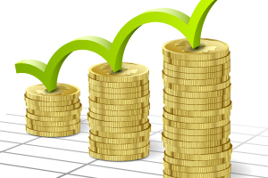 http://yourownvalkenswaard.nl/uploads/images/hoofdpagina/Groei financiering 1.jpg